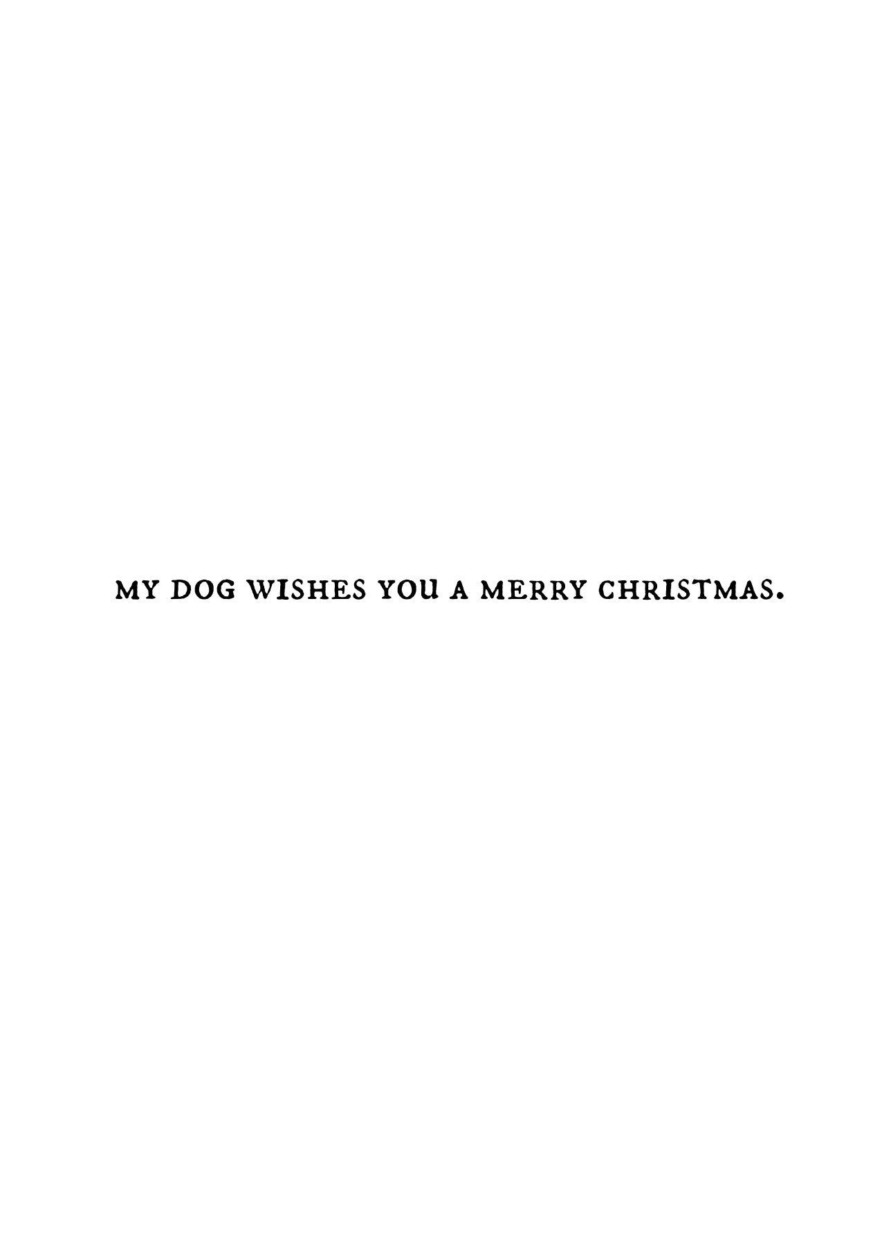 cavalier christmas card - Starfruit Prints